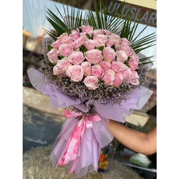 Soft Pink Rose